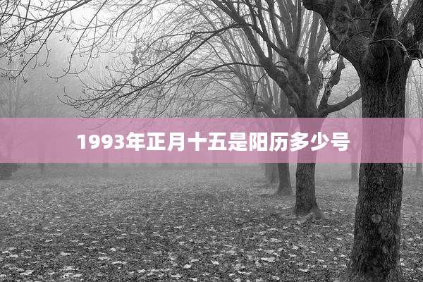 1993年正月十五是阳历多少号