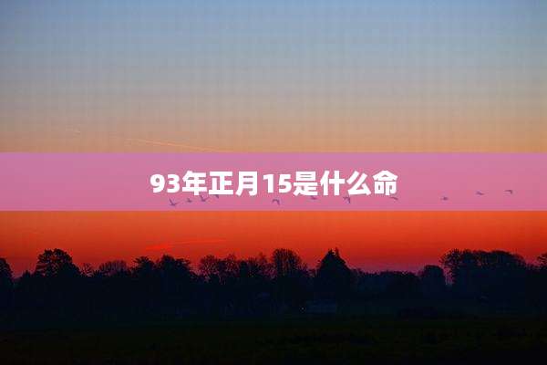 93年正月15是什么命