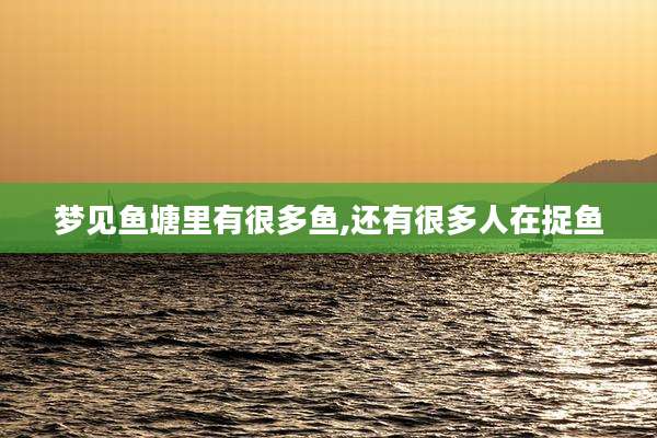 梦见鱼塘里有很多鱼,还有很多人在捉鱼