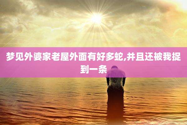 梦见外婆家老屋外面有好多蛇,并且还被我捉到一条