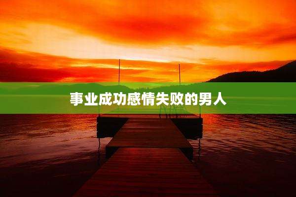 事业成功感情失败的男人