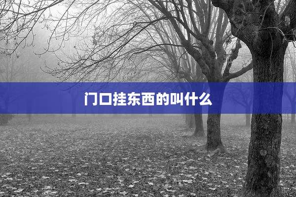 门口挂东西的叫什么