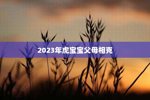 2023年虎宝宝父母相克