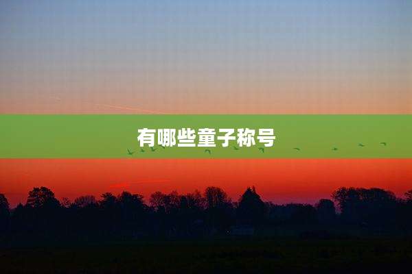 有哪些童子称号