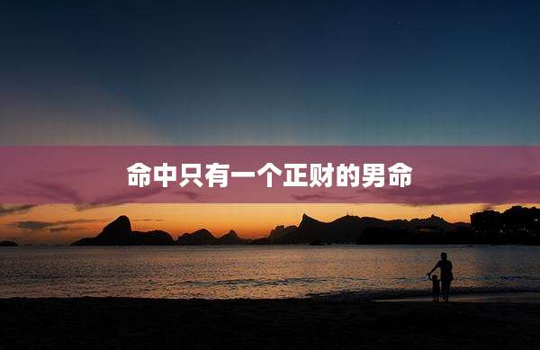 命中只有一个正财的男命