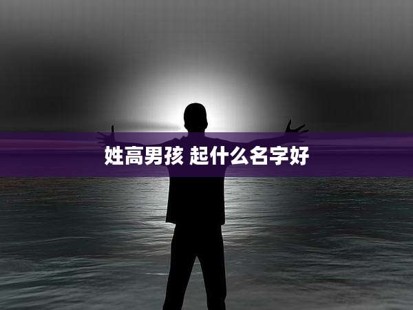 姓高男孩 起什么名字好
