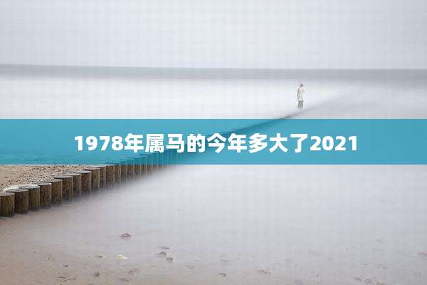 1978年属马的今年多大了2021