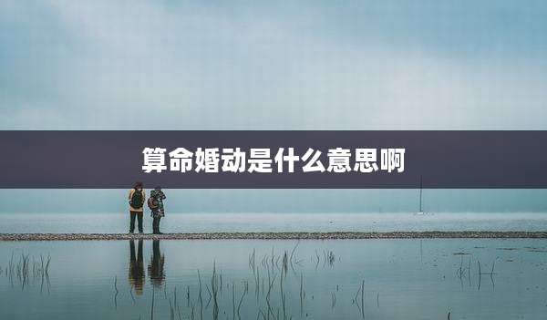 算命婚动是什么意思啊