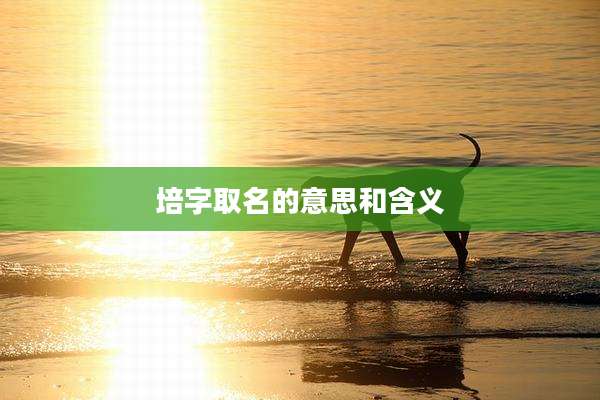 培字取名的意思和含义