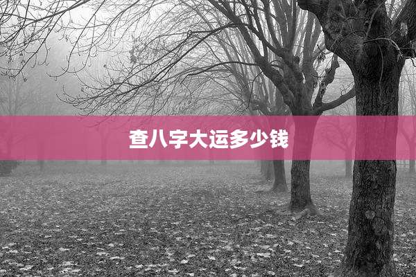 查八字大运多少钱