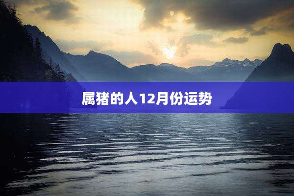 属猪的人12月份运势