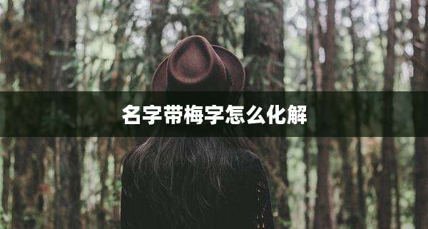 名字带梅字怎么化解