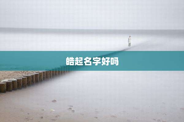 皓起名字好吗