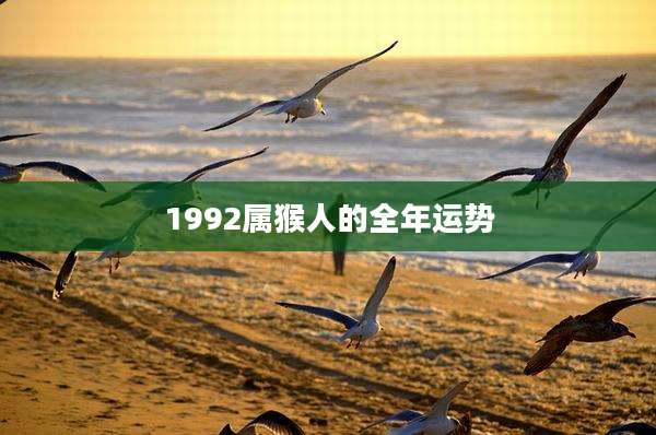 1992属猴人的全年运势
