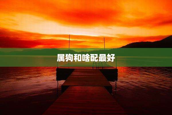 属狗和啥配最好
