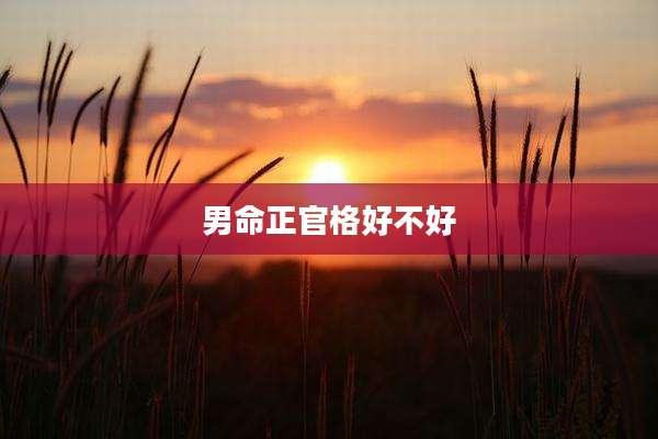 男命正官格好不好