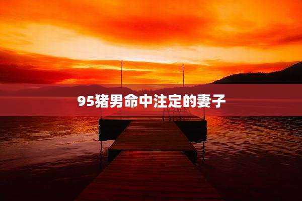95猪男命中注定的妻子