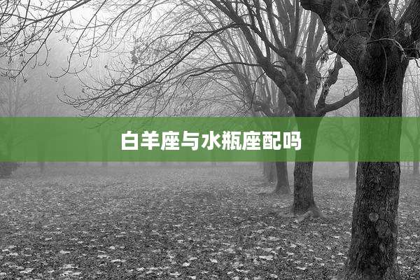 白羊座与水瓶座配吗