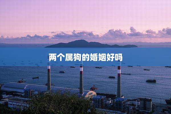 两个属狗的婚姻好吗