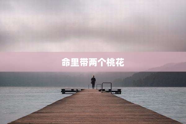 命里带两个桃花