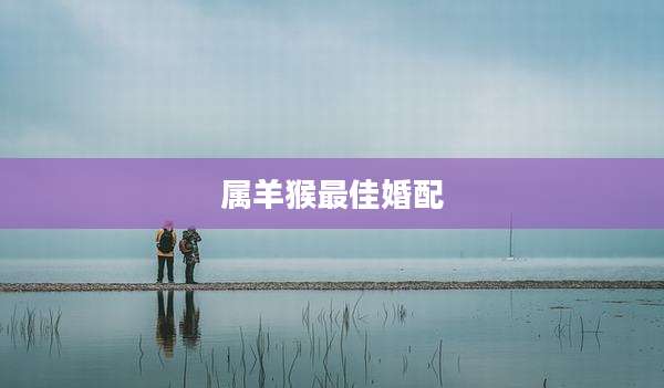 属羊猴最佳婚配