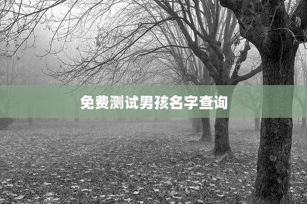 免费测试男孩名字查询