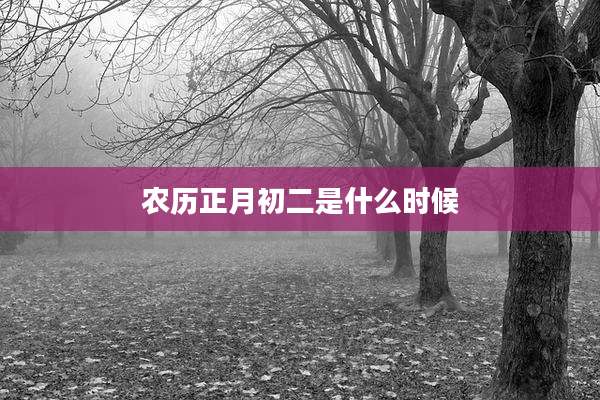 农历正月初二是什么时候
