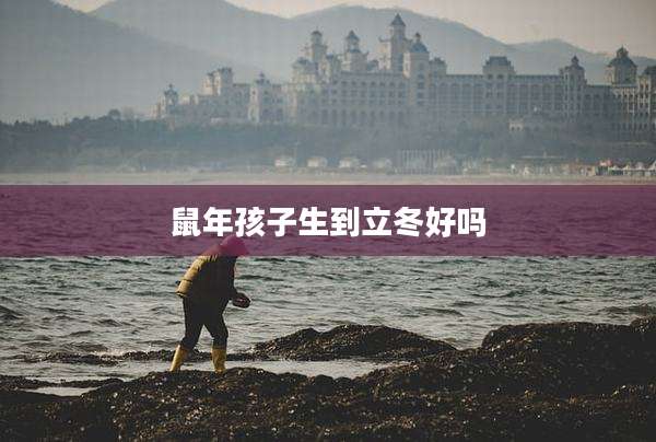 鼠年孩子生到立冬好吗
