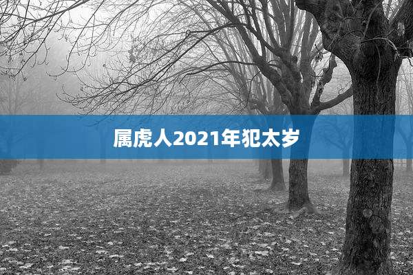 属虎人2021年犯太岁
