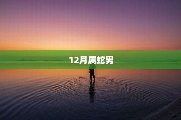 12月属蛇男