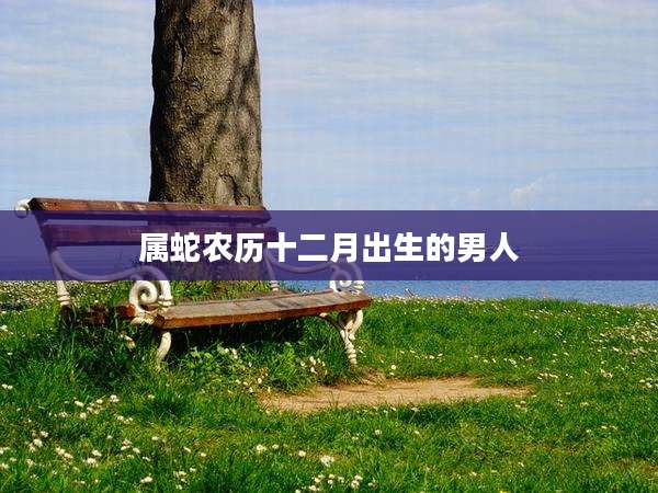 属蛇农历十二月出生的男人