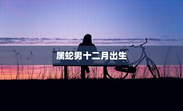 属蛇男十二月出生