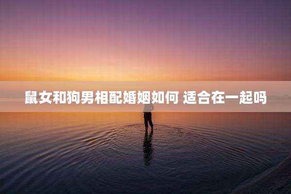 鼠女和狗男相配婚姻如何 适合在一起吗