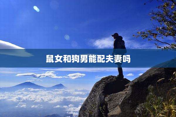 鼠女和狗男能配夫妻吗