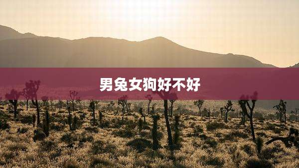 男兔女狗好不好