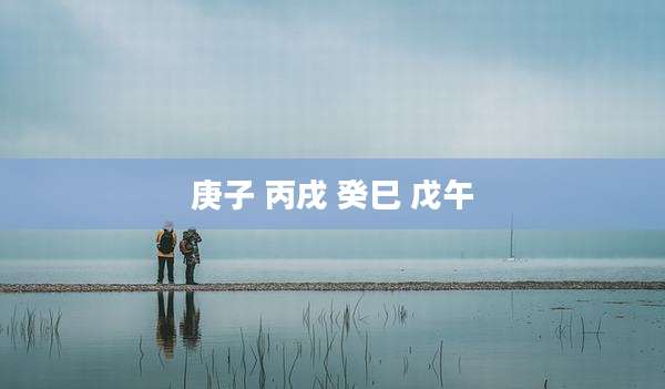 庚子 丙戌 癸巳 戊午