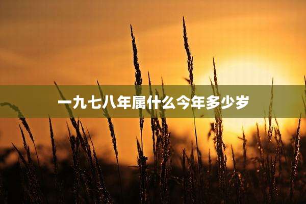 一九七八年属什么今年多少岁