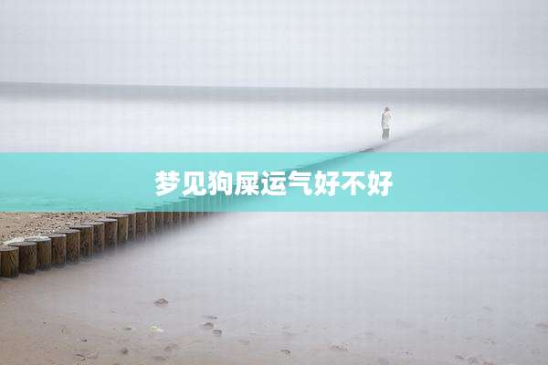 梦见狗屎运气好不好