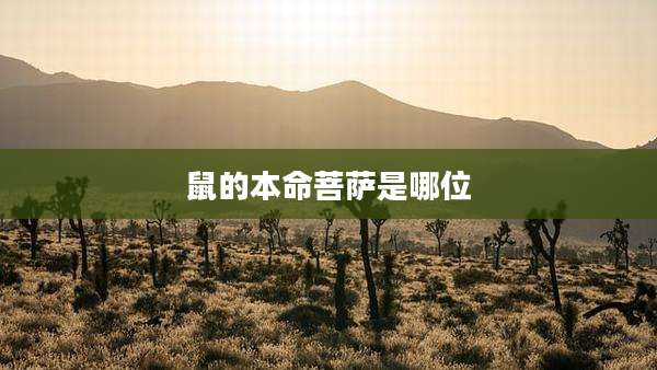 鼠的本命菩萨是哪位