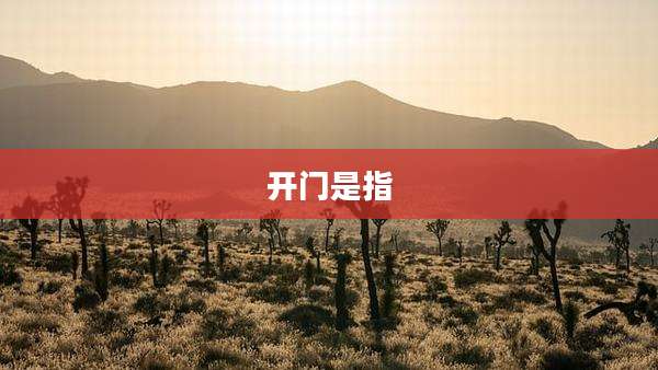 开门是指