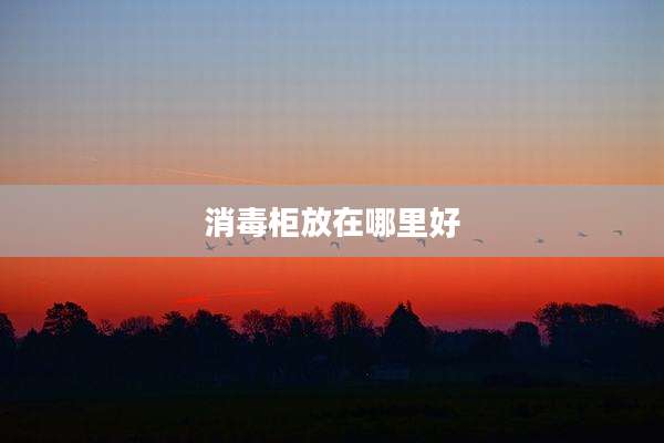 消毒柜放在哪里好