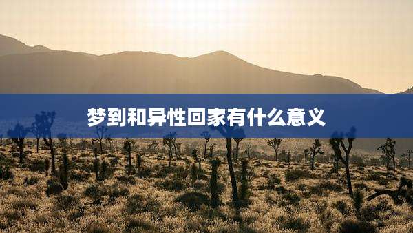 梦到和异性回家有什么意义