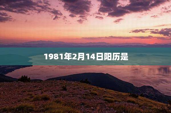 1981年2月14日阳历是