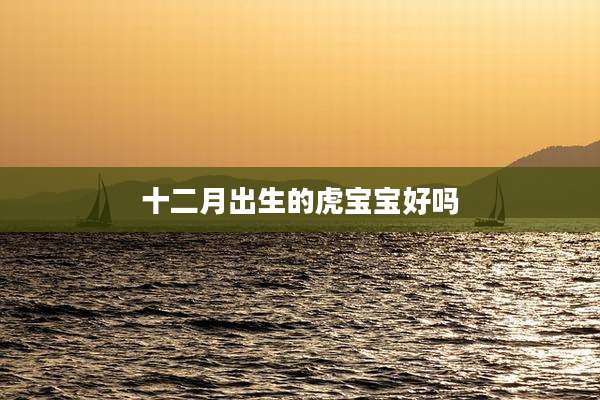 十二月出生的虎宝宝好吗