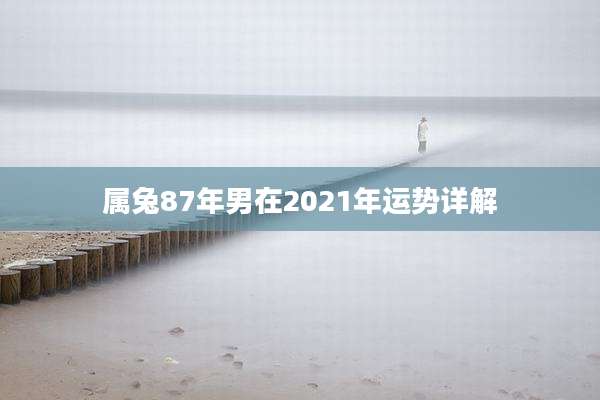 属兔87年男在2021年运势详解