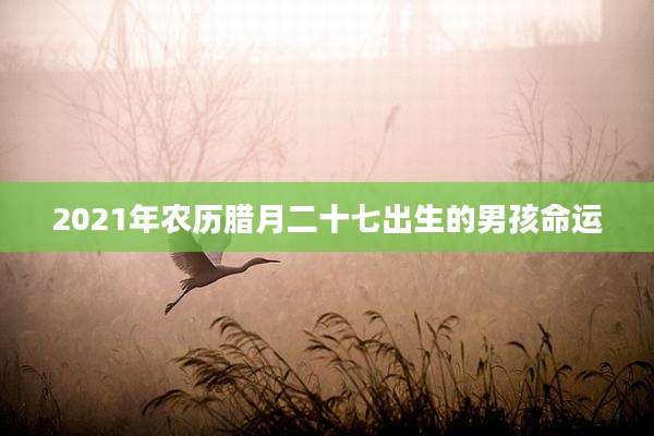 2021年农历腊月二十七出生的男孩命运