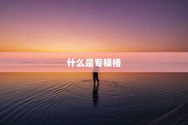 什么是专禄格