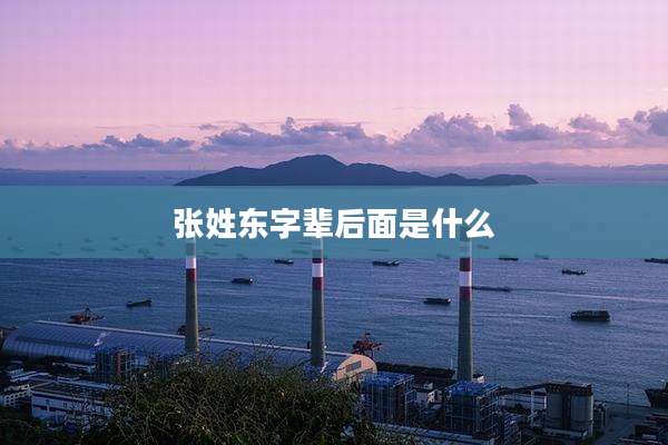 张姓东字辈后面是什么