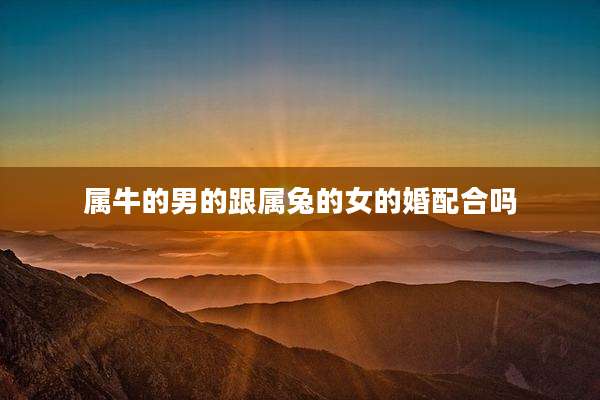 属牛的男的跟属兔的女的婚配合吗
