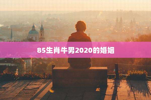 85生肖牛男2020的婚姻